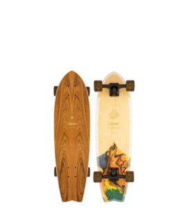 ARBOR Cruiser Groundswell Sizzler 30.5"